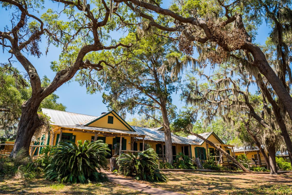 Experience the charm of The Lodge, Little St. Simons Island's heart of conservation and relaxation.
