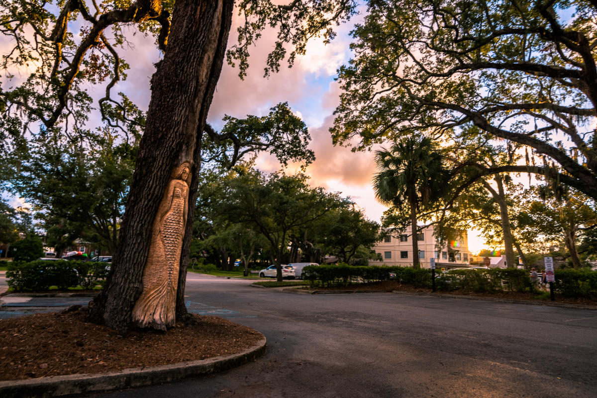 The Enigmatic Faces of St. Simons Island's Tree Spirits: Begin Your Search