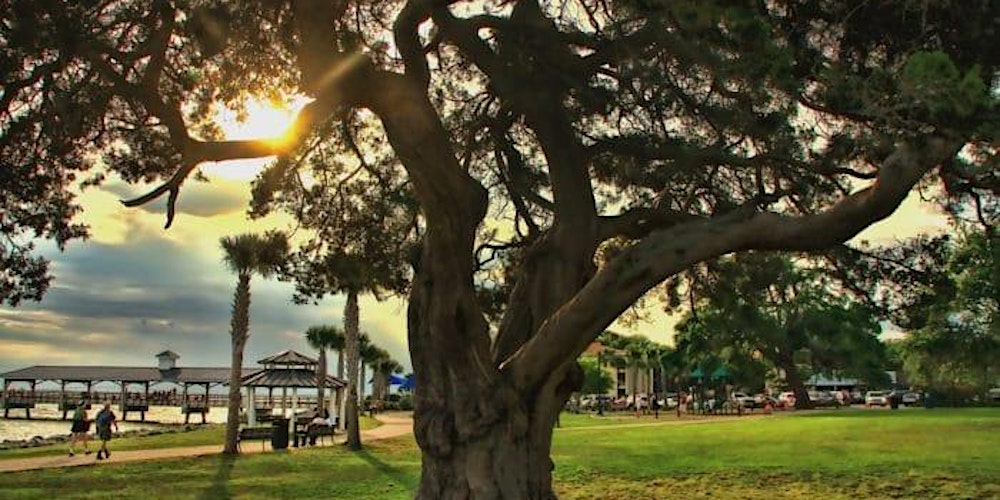 Families and friends gather under a starlit sky, enjoying a live performance at Neptune Park - embodying the spirit of St. Simons Island's memorable summer nights.