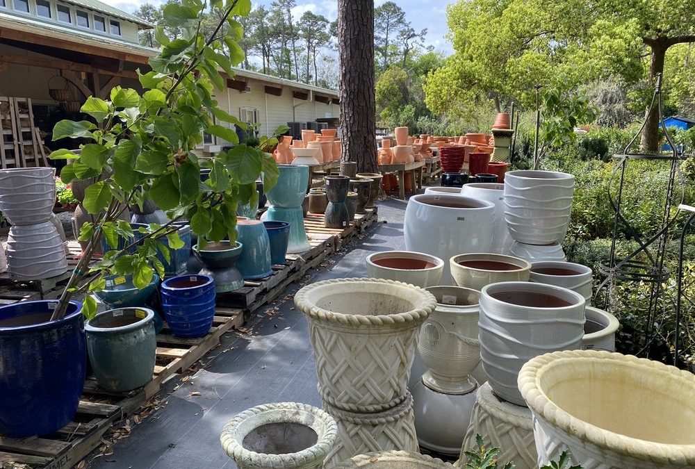 Ace Garden Center on Facebook: Your Gateway to Gardening Excellence in St. Simons