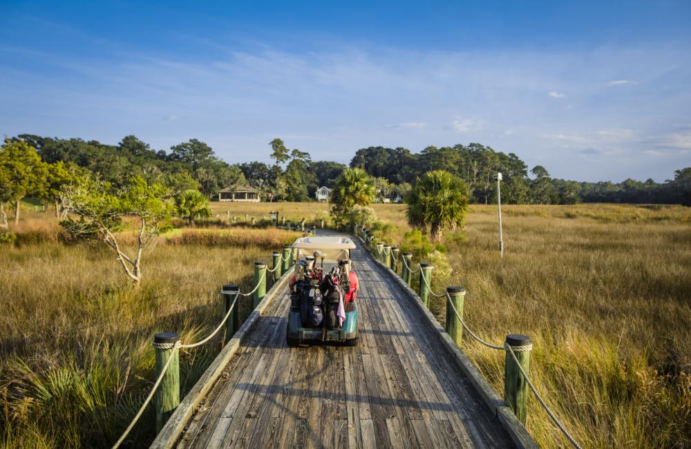 The journey through The King and Prince Golf Course, a path of scenic encounters.