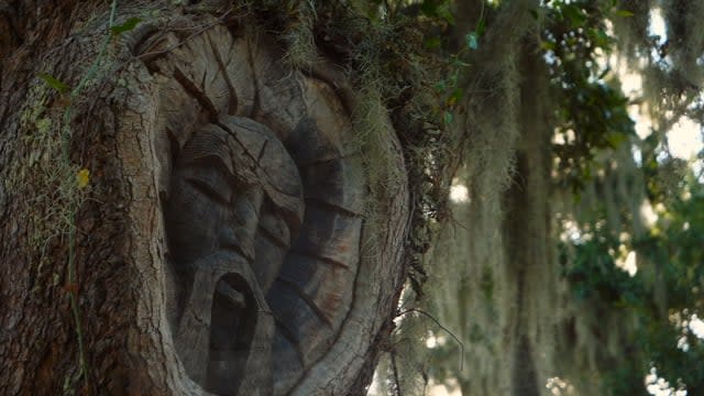 Embark on an enchanting journey to discover the mysterious Tree Spirits carved into the ancient oaks of St. Simons Island.