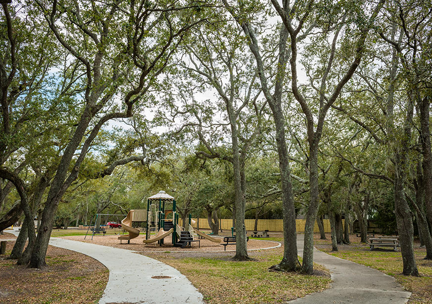 Experience Take A Walk Outdoors Day at Massengale Park, St. Simons Island Today